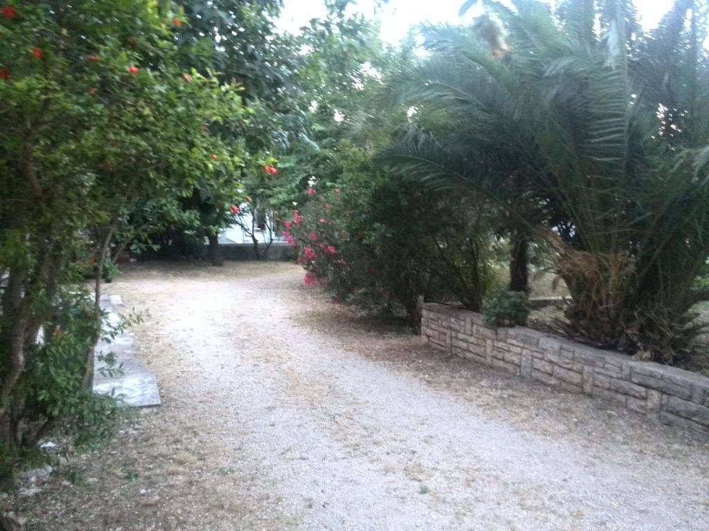 Apartment Tome Biograd Na Moru Bilik gambar